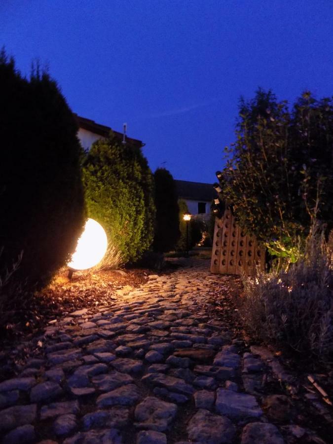 Domaine De La Mance - Maisonnette Avec Cheminee Vitrey-sur-Mance Exterior foto